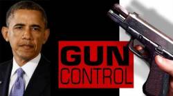 Control de armas de Obama
