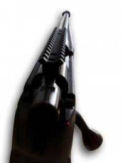 Rifle Howa