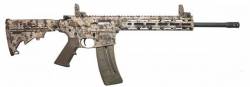 SW Mp15 .22lr.jpg