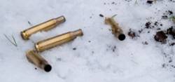 Vainas vacías del calibre .338 Lapua Magnum