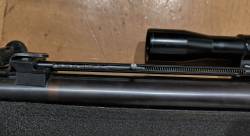 Imagen Gamo Stamic 6