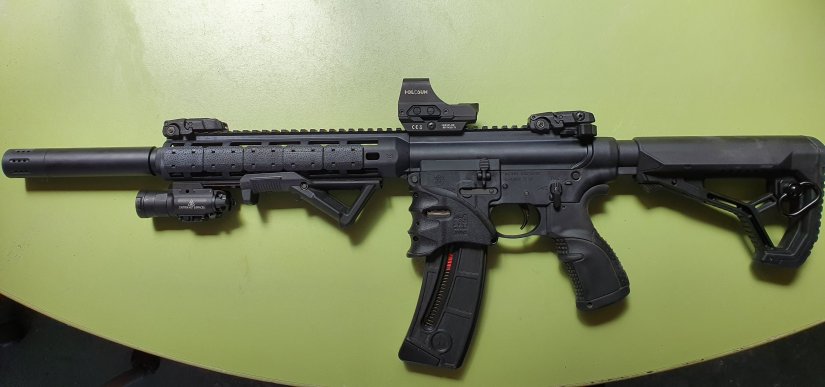 Imagen M&P 15-22 Holo