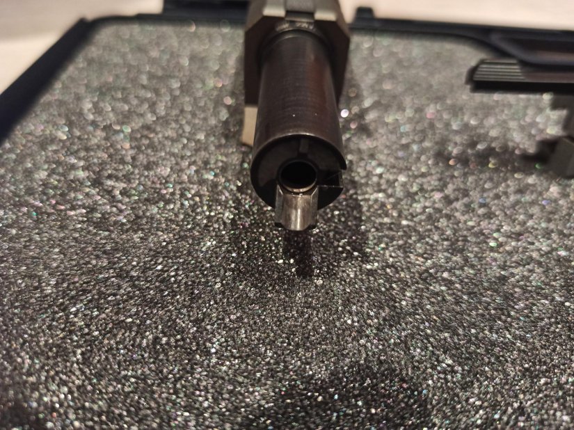 Imagen walther gsp