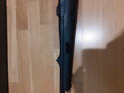 Imagen Sauer-5