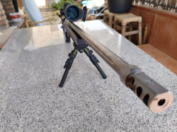 Imagen Remington 3