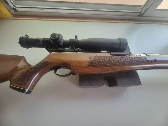 Imagen AIR arms 2