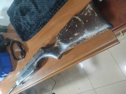 Imagen Gamo Expo 2000 antes 1