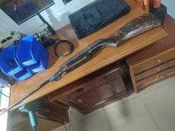 Imagen Gamo Expo 2000 antes 3