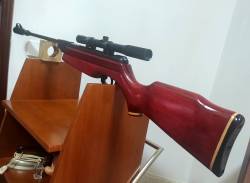 Imagen Gamo Expo 2000 después 2