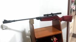 Imagen Gamo Expo 2000 después 3