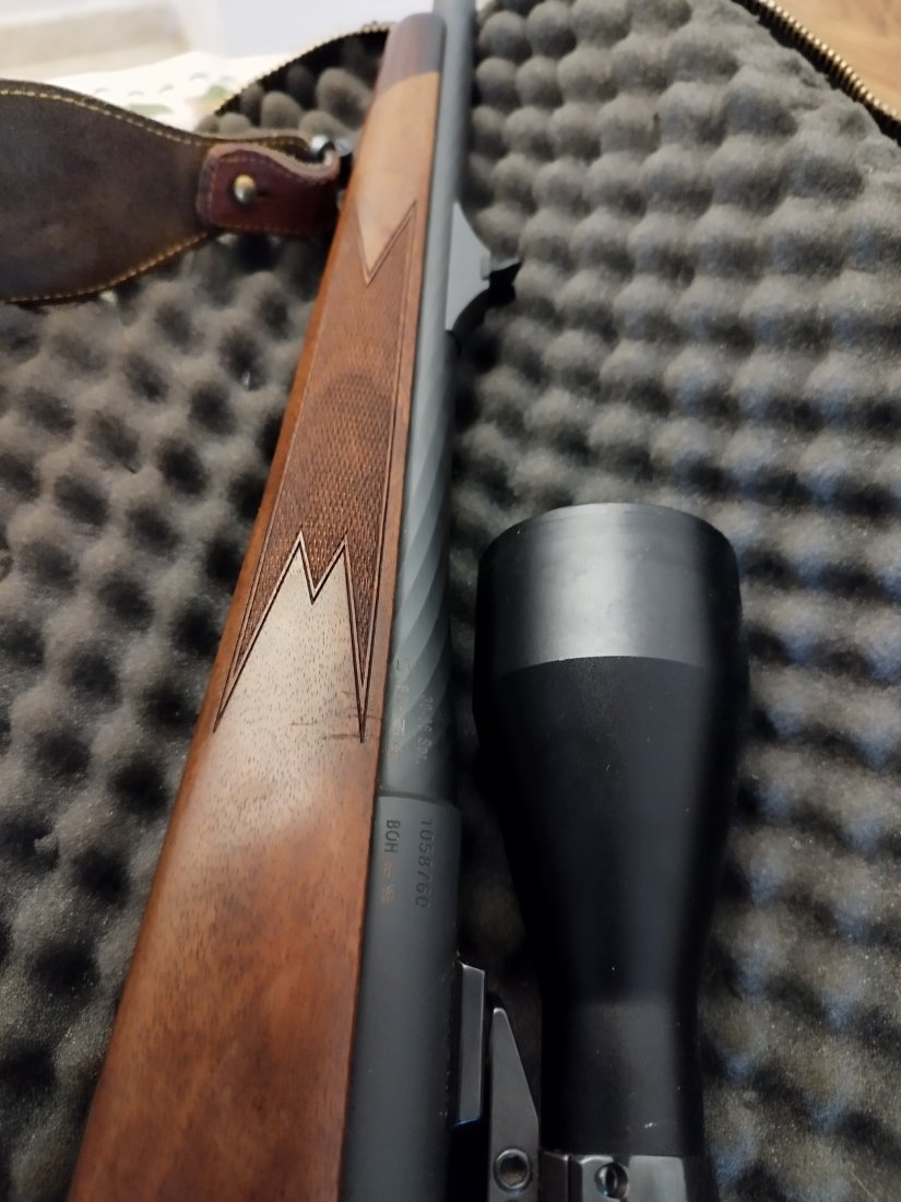 Imagen Steyr Mannlicher