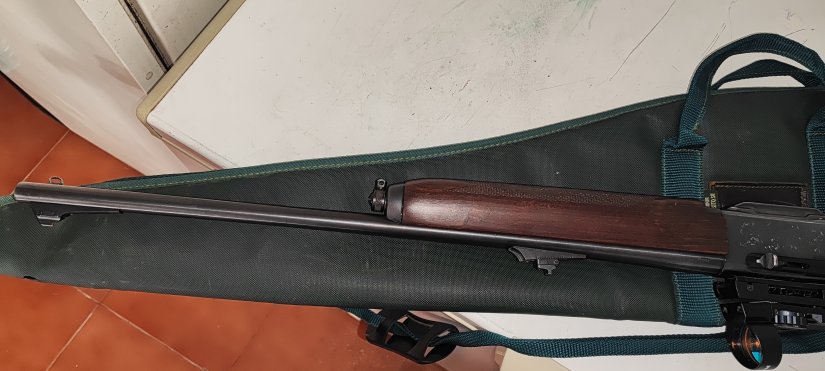 Imagen Remington 7400