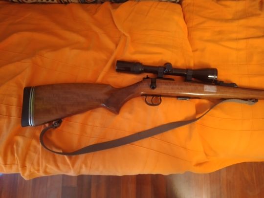 Imagen 22 lr