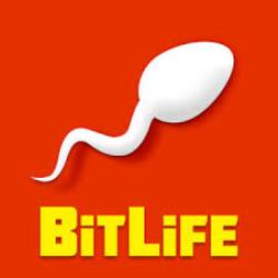 Imagen Bitlife