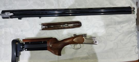 Imagen Beretta 694