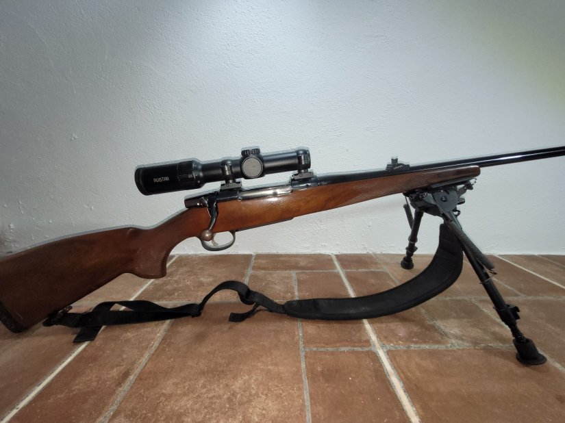 Imagen CZ 550