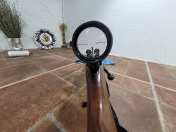 Imagen CZ 550