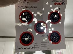 Imagen Gamo Magnum energy Country 1g 5.5 agrupacion con Gamo Shadow CSI