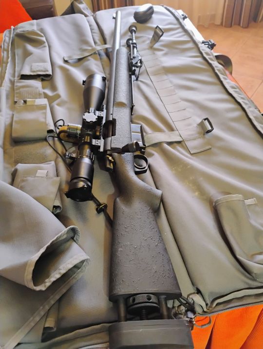 Imagen Bergara M24