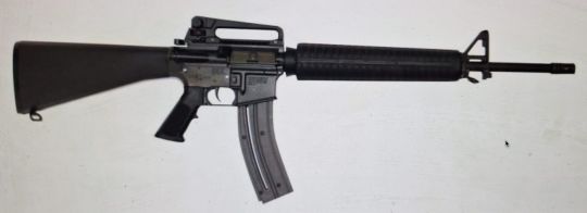 Imagen Carabina M16 cal. 22LR Walther