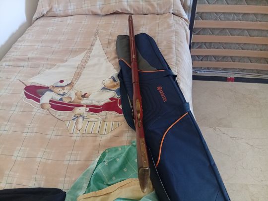 Imagen Más fotos del kentuky de chispa