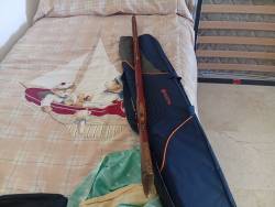 Imagen Más fotos del kentuky de chispa