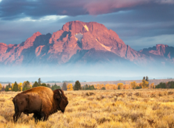 Imagen National Park