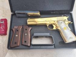 Imagen 1 colt