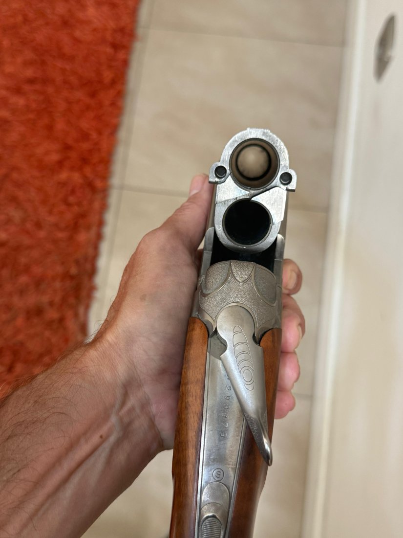 Imagen Beretta 10