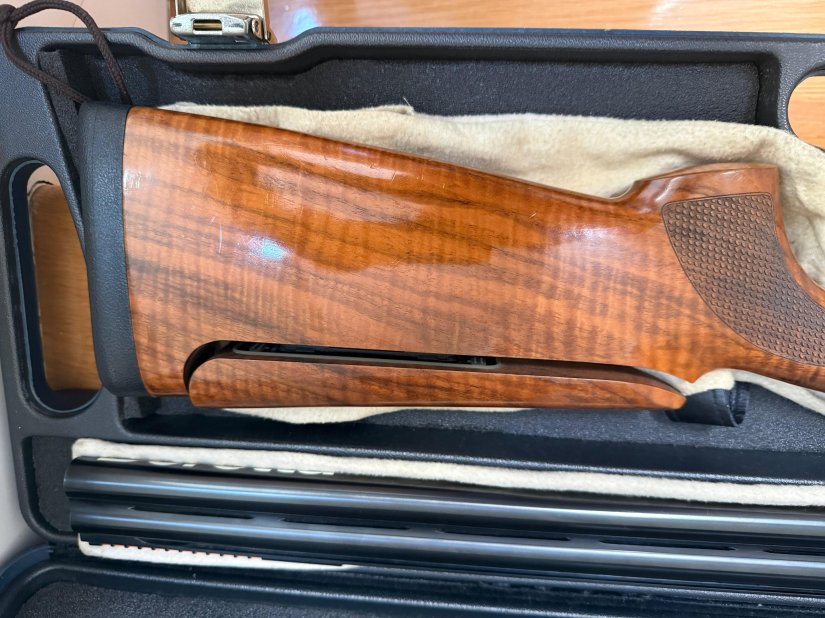 Imagen Beretta 22