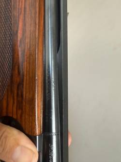 Imagen Beretta 5
