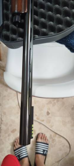 Imagen Benelli Centro Crio (2016) - Cañón 66cm + Prolongador 10cm