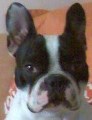 Avatar de Usuario