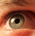 Avatar de Usuario
