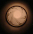 Avatar de Usuario