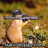 Avatar de Usuario