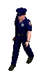 Avatar de Usuario