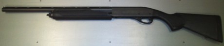 Buenas tardes a todos.
he decidido comprarme una escopeta Remington 870 compact y la quiero usar para 161