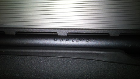 Buenas tardes a todos.
he decidido comprarme una escopeta Remington 870 compact y la quiero usar para 160