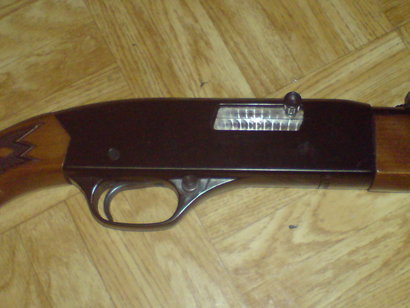 ...la que yo tengo, y es que dentro de unos años me he propuesto comprar un rifle como el que tengo, un 20