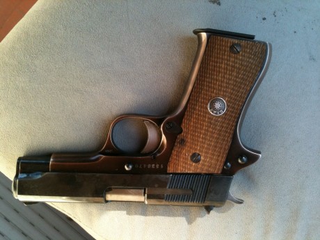 hola a todos, vendo bkm de 9 mm, guiada en f, con dos cargadores y en perfecto funcionamiento por 130 01