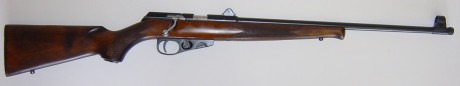 HOLA compis,pues eso una carabina TOZ barata, robusta, fiable y muy precisa. Esto es lo que pienso o pensamos 20