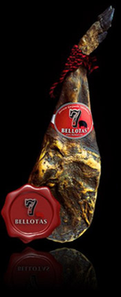 Estimados usuarios,

Inauguramos esta primera semana de julio de 2011 con la publicación de la tradicional 20