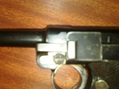 Hola a todos:

Ayer me hicieron un regalo magnífico. Un amigo, también magnífico, que por dificultades 62