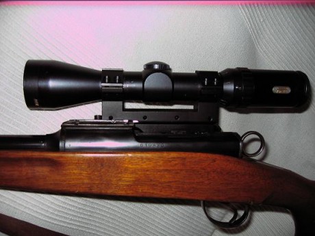 Hola, hace tiempo que estoy buscando un rifle para la caza mayor, me es indiferente cerrojo o semi. Lo 161