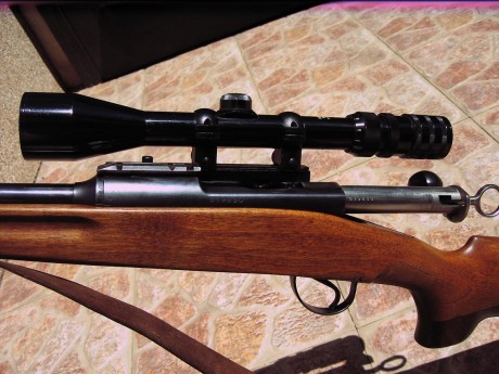 Hola, hace tiempo que estoy buscando un rifle para la caza mayor, me es indiferente cerrojo o semi. Lo 160