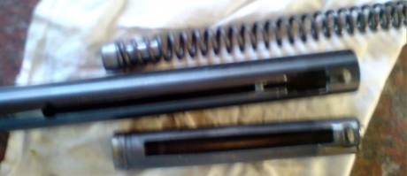 Hola,
no hace mucho compré una carabina gamo wisper de sengunda mano, y al probarla, considero que iba 40