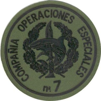 Busco antiguos integrantes del  GOE1  Ordenes militares, Especialmente a los chicos de la  13  130