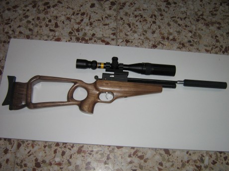 PUES ESTE EVANIX AR-6 PISTOL 5,5 PUESTA EN ORDEN POR OSCAR ( WIBOLS )SU ANTERIOR PROPIETARIO , ESTOY PENSANDO 02
