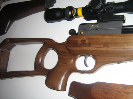 PUES ESTE EVANIX AR-6 PISTOL 5,5 PUESTA EN ORDEN POR OSCAR ( WIBOLS )SU ANTERIOR PROPIETARIO , ESTOY PENSANDO 00